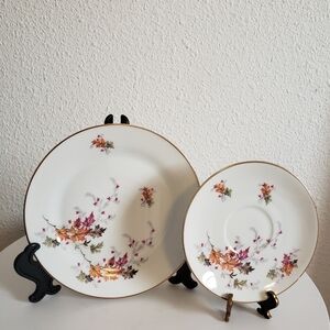 #Salad Makers Estate Porzellan Bavaria Indian Summer 2 Bread & Butter Plates